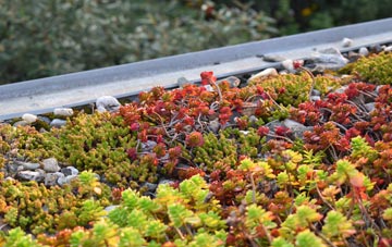 the cost of Whitnage green roof installation