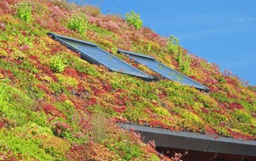 Whitnage living roof systems