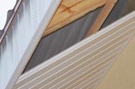 rated Whitnage soffit repair companies